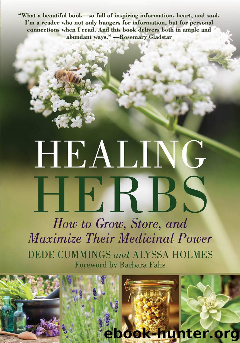 Healing Herbs by Dede Cummings