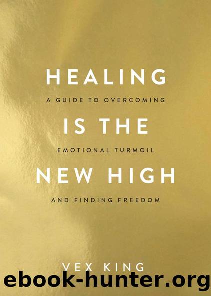 Healing Is the New High by Vex King