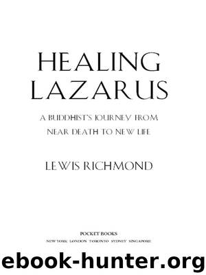 Healing Lazarus by Lewis Richmond