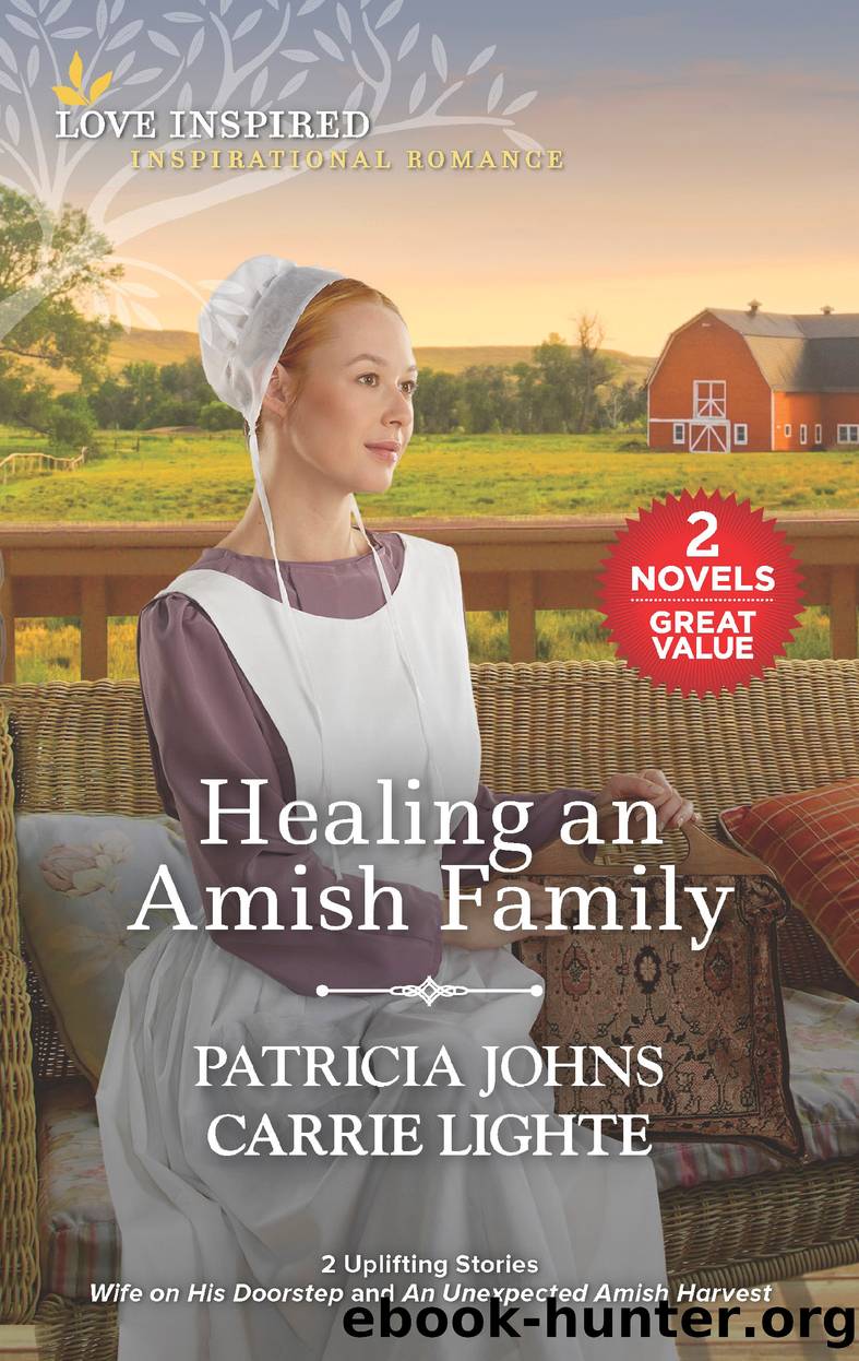 Healing an Amish Family by Patricia Johns