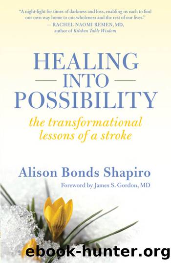 Healing into Possibility by Alison Bonds Shapiro