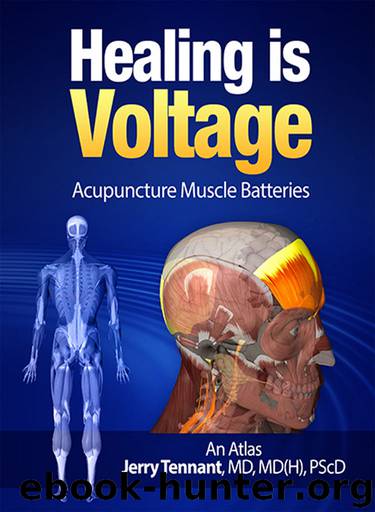 Healing is Voltage: Acupuncture Muscle Batteries: An Atlas by Jerry Tennant