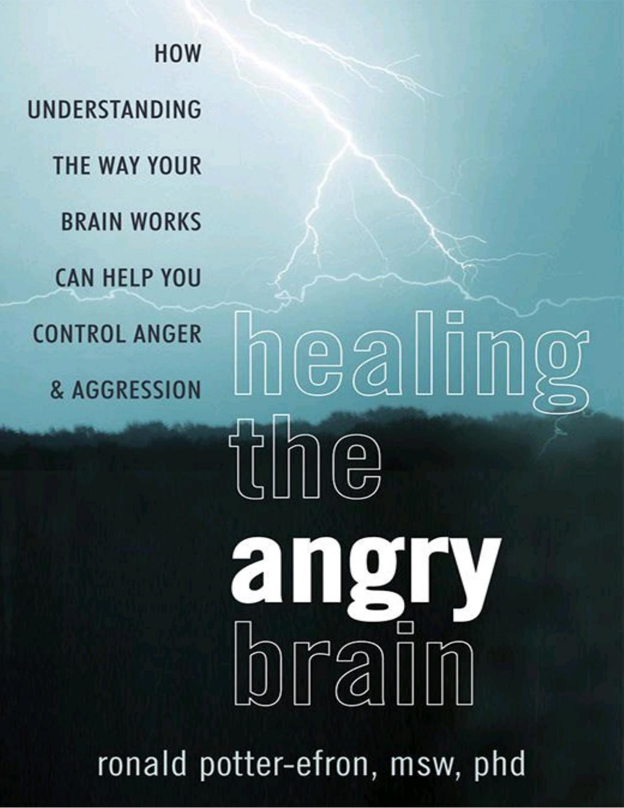 Healing the Angry Brain: How Understanding the Way Your Brain Works Can Help You Control Anger and Aggression by Ronald Potter-Efron
