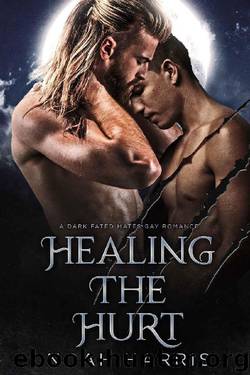 Healing the Hurt: A Dark Fated Mates Gay Romance by Noah Harris