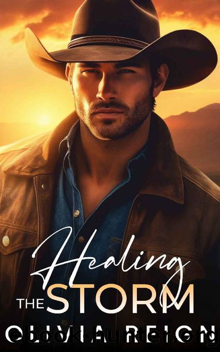 Healing the Storm: A Small Town Enemies to Lovers Novel by Olivia Reign