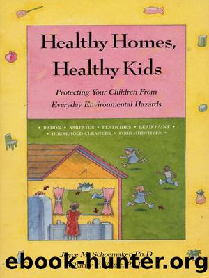 Healthy Homes, Healthy Kids by Vitale Charity;Schoemaker Joyce;