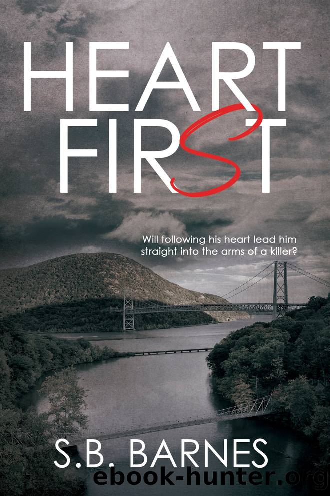 Heart First by S.B. Barnes