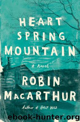 Heart Spring Mountain by Robin MacArthur