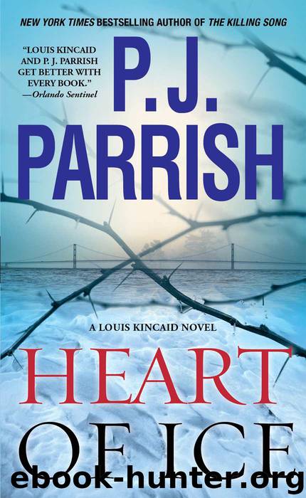 Heart of Ice by Parrish P. J