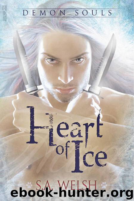 Heart of Ice by S.A. Welsh
