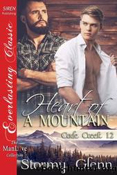 Heart of a Mountain by Glenn Stormy