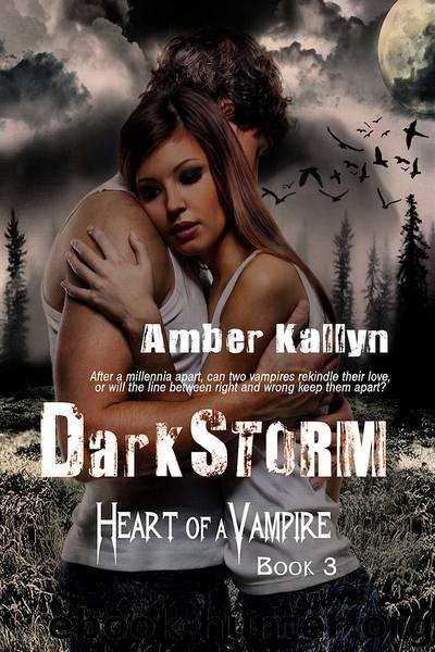 Heart of a Vampire, Book Bundle (Books 1-3) by Amber Kallyn
