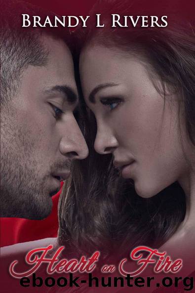 Heart on Fire by Brandy L Rivers
