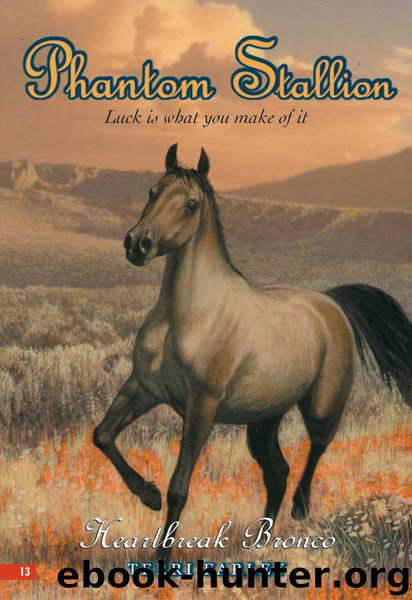 Heartbreak Bronco by Terri Farley