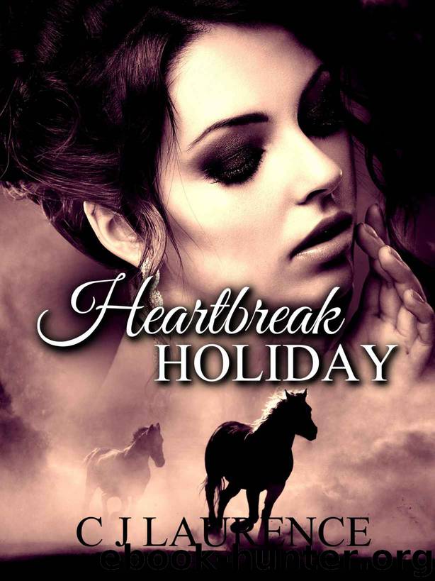 Heartbreak Holiday by C J Laurence