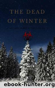 Heartland Zombie Apocalypse (Vol. 2): The Dead of Winter by Brockschmidt Marty