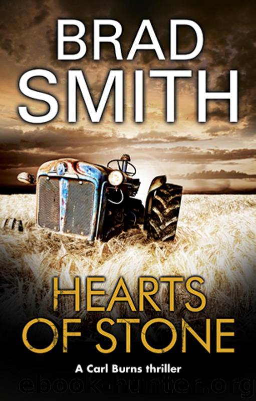 Hearts of Stone by Brad Smith
