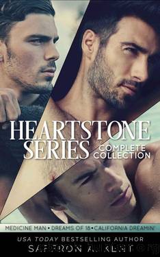 Heartstone Series Complete Collection by Saffron A. Kent