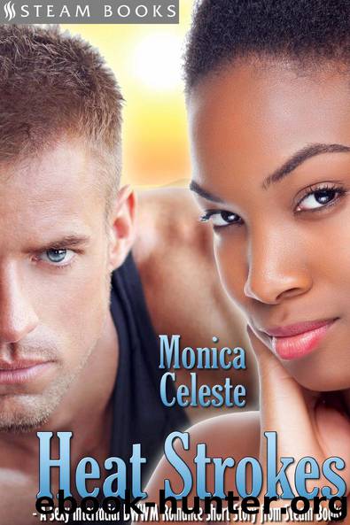 Heat Strokes by Monica Celeste