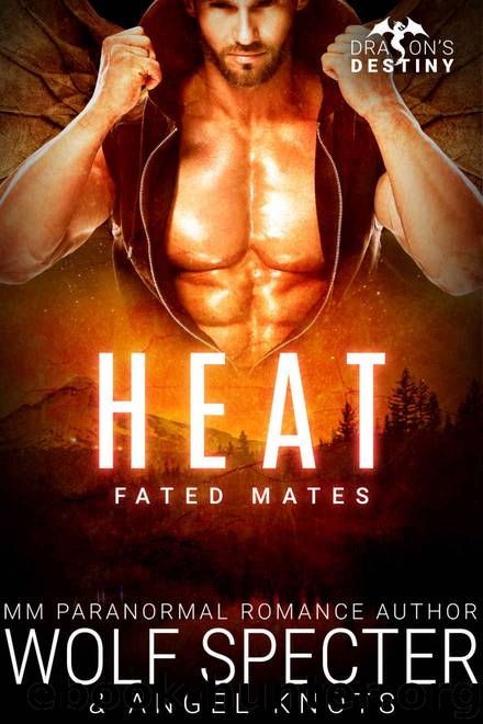 Heat by Wolf Specter
