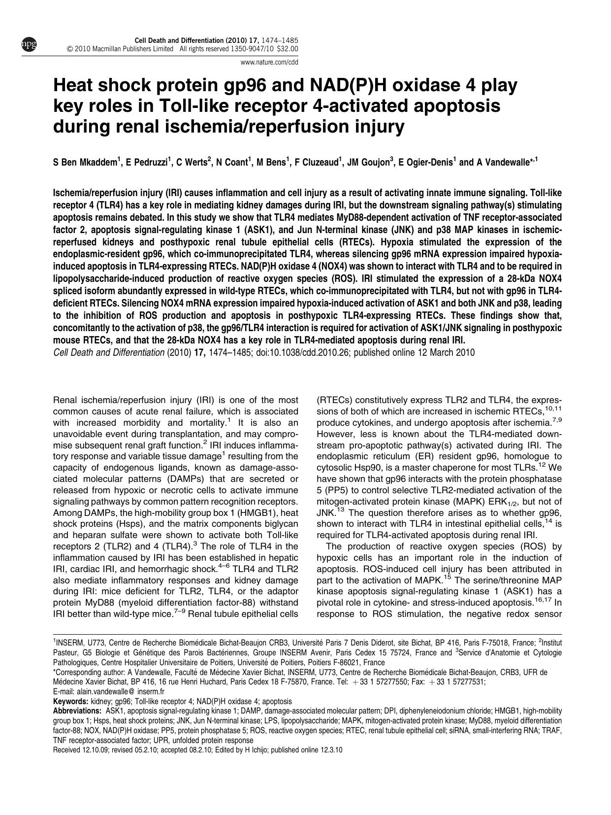 Heat shock protein gp96 and NAD(P)H oxidase 4 play key roles in Toll-like receptor 4-activated apoptosis during renal ischemia&sol;reperfusion injury by unknow