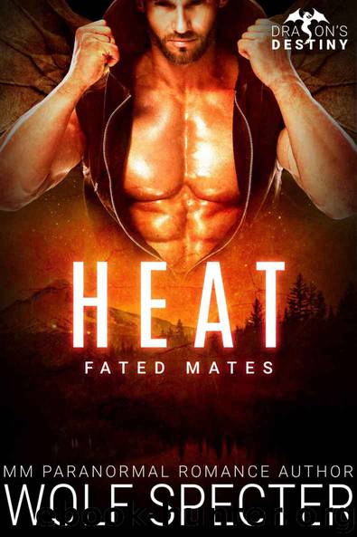 Heat: Fated Mates: MM Gay Shifter Mpreg Romance (Dragon's Destiny) by Specter Wolf & Knots Angel