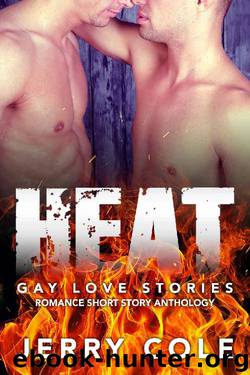 Heat: Gay Love Stories (Romance Short Story Anthology Book 4) by Jerry Cole