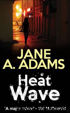 Heatwave by Jane A Adams