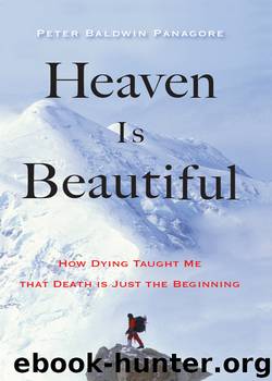 Heaven Is Beautiful by Peter Baldwin Panagore