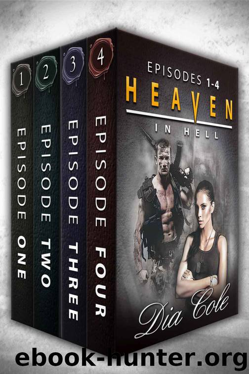 Heaven in Hell: Box Set Episodes 1-4 by Dia Cole