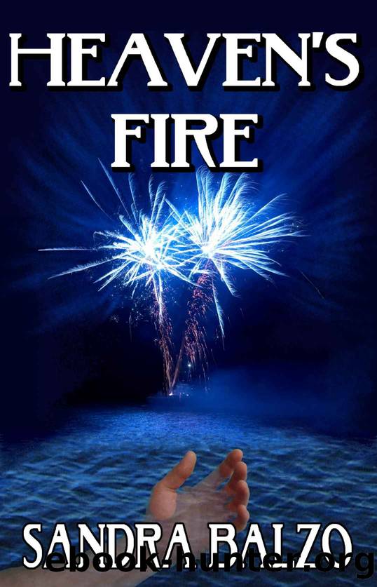Heaven's Fire (A Fireworks Thriller) by Sandra Balzo
