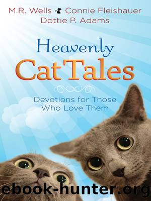 Heavenly Cat Tales by M.R. Wells
