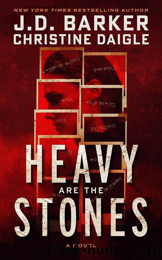 Heavy Are the Stones by J.D. Barker & Christine Daigle