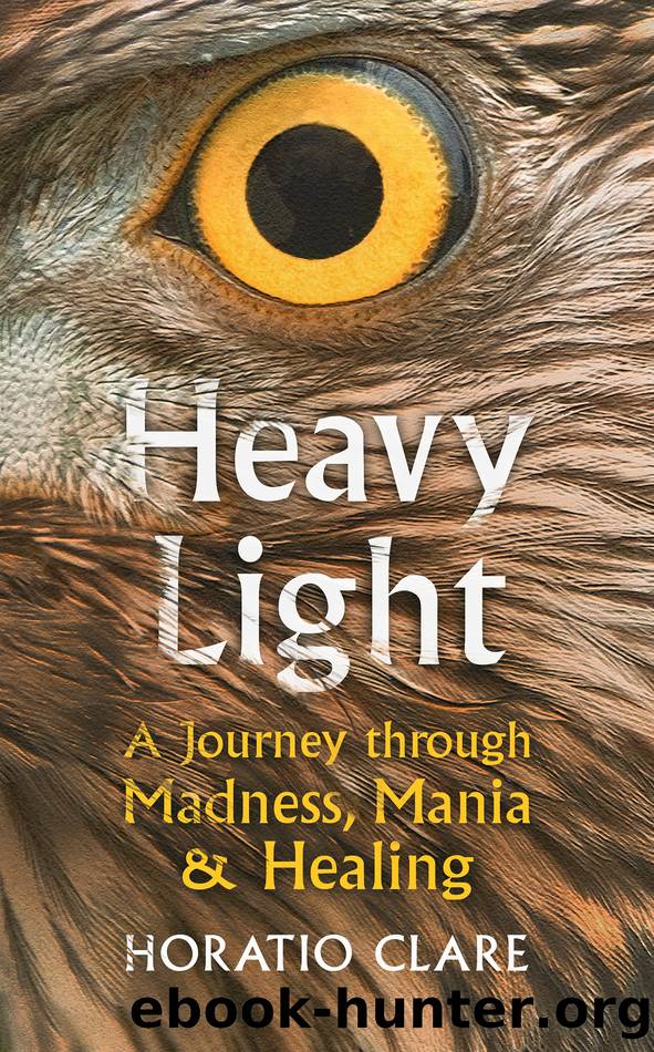Heavy Light by Horatio Clare