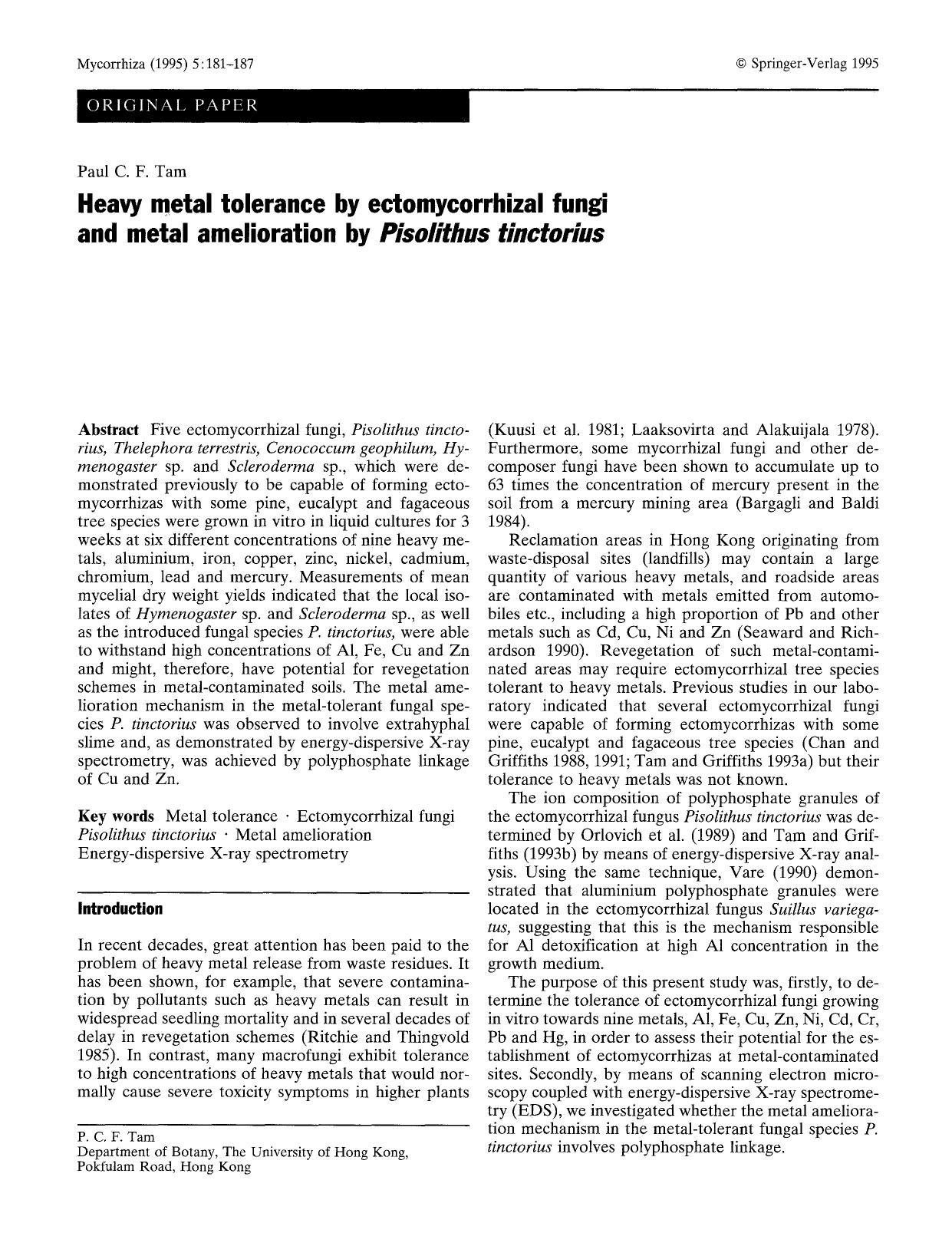 Heavy metal tolerance by ectomycorrhizal fungi and metal amelioration by <Emphasis Type="Italic">Pisolithus tinctorius<Emphasis> by Unknown