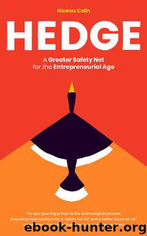Hedge: A Greater Safety Net for the Entrepreneurial Age by Nicolas Colin