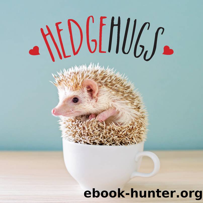 Hedgehugs by Andrews McMeel Publishing