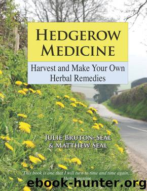 Hedgerow Medicine by Julie Bruton-Seal