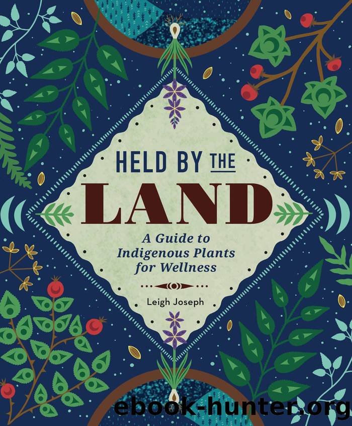 Held by the Land by Leigh Joseph