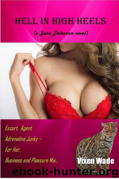 Hell In High Heels --- A Jane Delacroix erotic novel: Sex, Sin, and Slaughter in Southern California by Wade Vixen