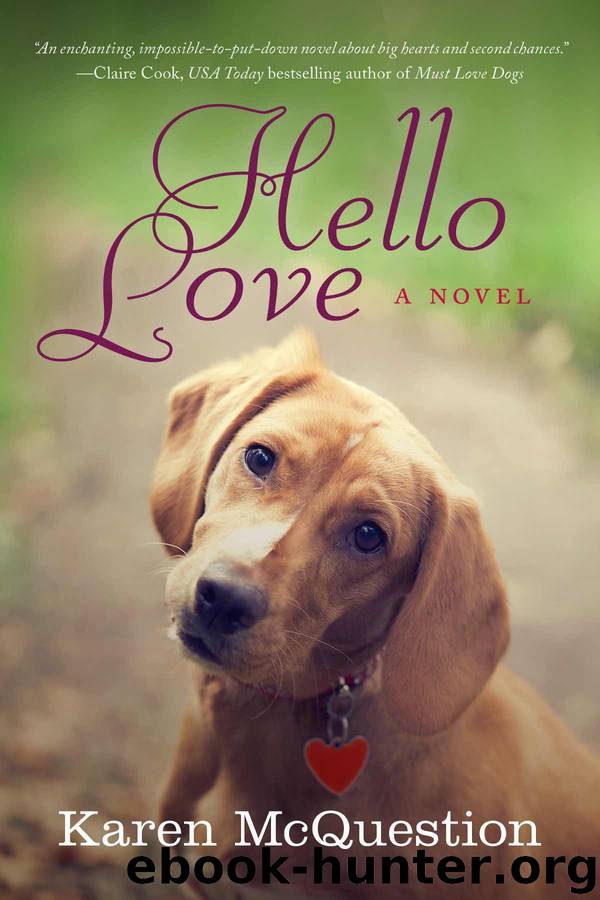 Hello Love by Karen McQuestion