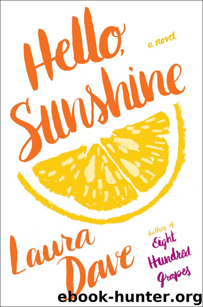 Hello, Sunshine by Laura Dave