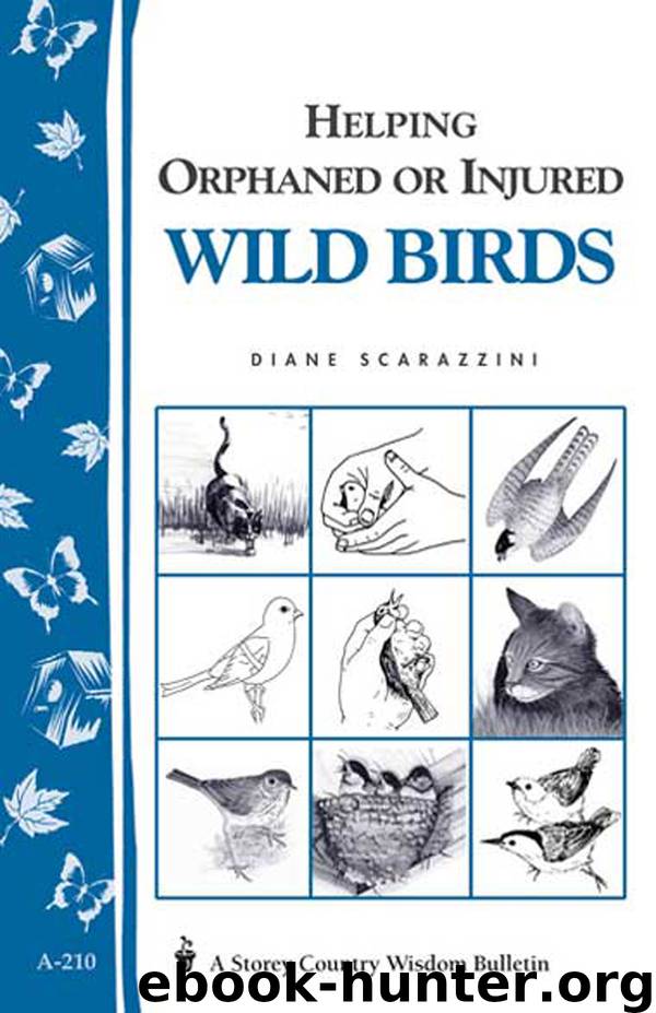 Helping Orphaned or Injured Wild Birds by Diane Scarazzini