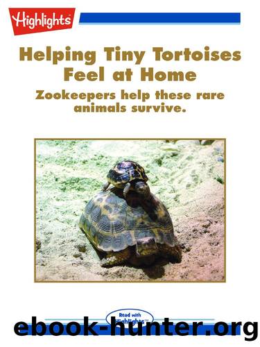 Helping Tiny Tortoises Feel at Home by Jacqueline Adams