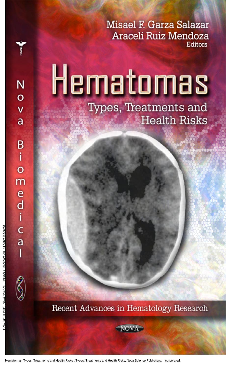 Hematomas: Types, Treatments and Health Risks : Types, Treatments and Health Risks by Misael F. Garza Salazar; Araceli Ruiz Mendoza