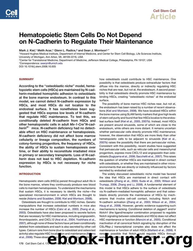 Hematopoietic Stem Cells Do Not Depend on N-Cadherin to Regulate Their Maintenance by Mark J. Kiel; Melih Acar; Glenn L. Radice; Sean J. Morrison