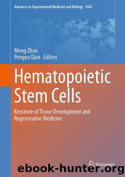 Hematopoietic Stem Cells by Unknown