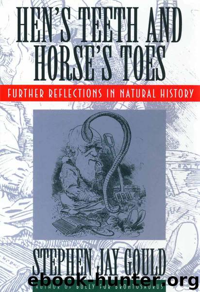 Hen's Teeth and Horse's Toes: Further Reflections in Natural History by Gould Stephen Jay