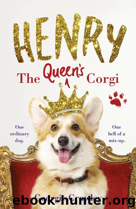 Henry the Queen's Corgi by Georgie Crawley