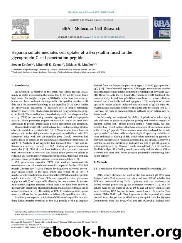 Heparan sulfate mediates cell uptake of Î±B-crystallin fused to the glycoprotein C cell penetration peptide by Steven Droho & Mitchell E. Keener & Niklaus H. Mueller